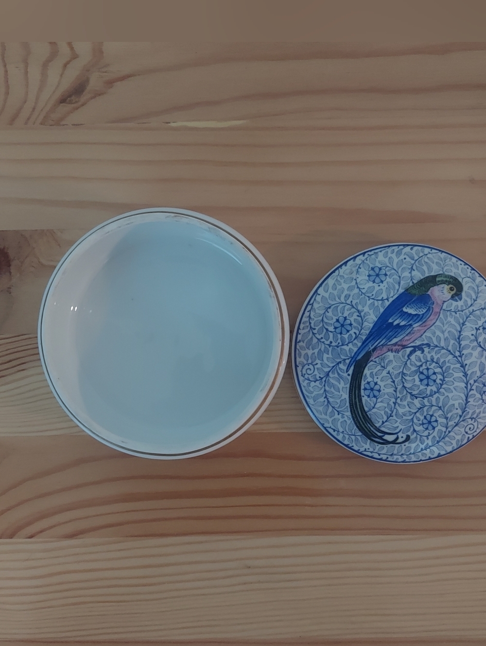 Parrot Container - Picture 3 of 7